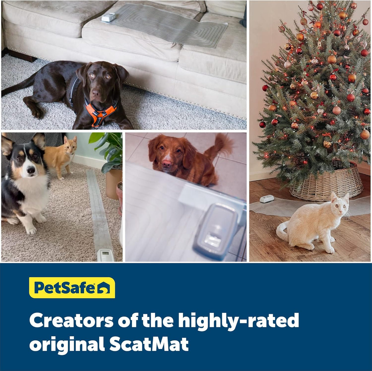 PetSafe ScatMat Indoor Training Mat