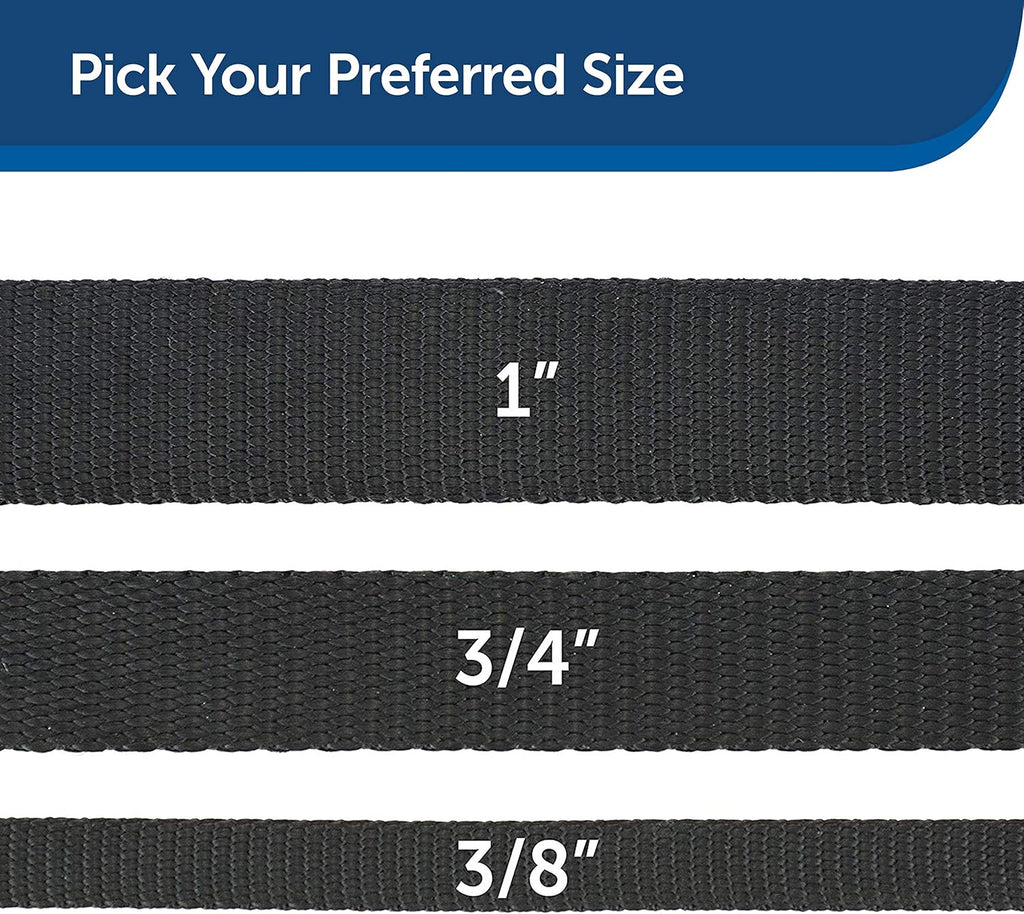 PetSafe Nylon Leash - Chew-Resistant Cat & Dog Behavioral Training Leash - Compatible with Easy-Walk Harness - Traditional-Style Reliable Pet Lead with a Padded Hand Wrap - 3/8" x 6' - Black
